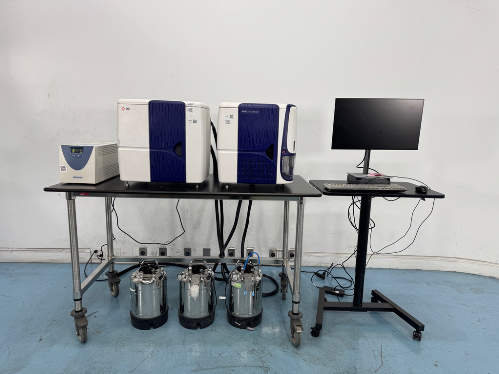 Image of BD FACSMelody Cell Sorter